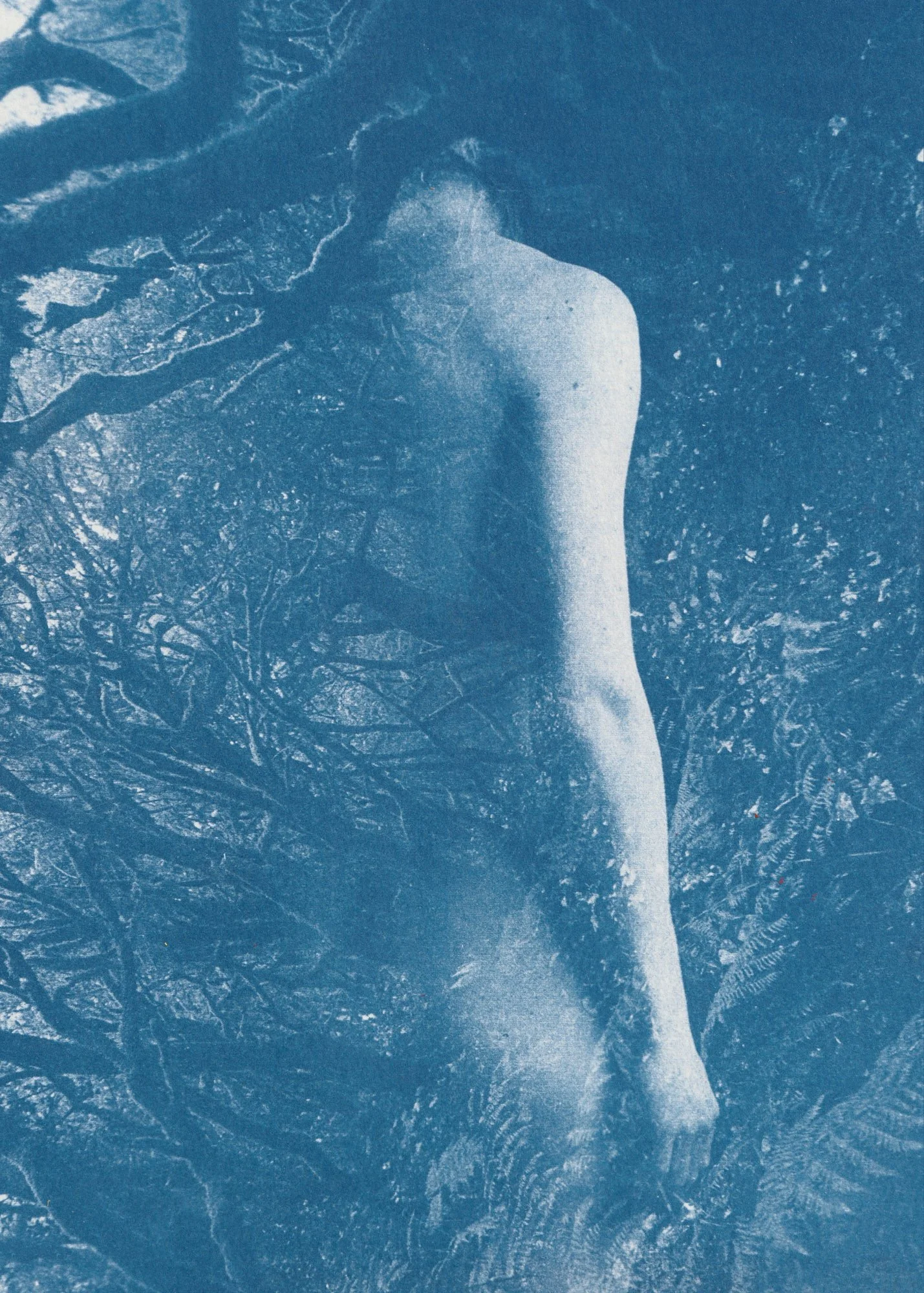Shallows low res 4.jpg