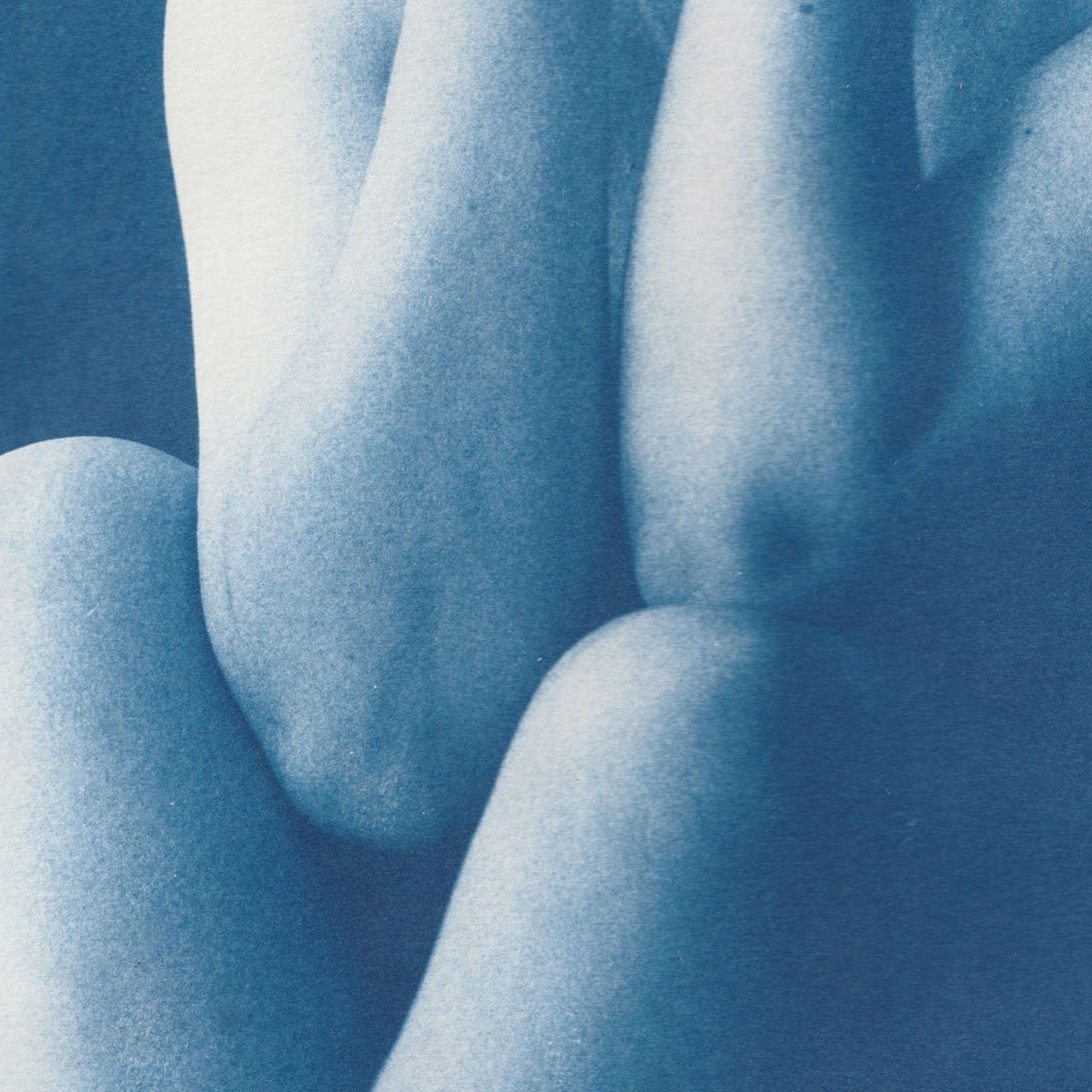 legs website image close up.jpg