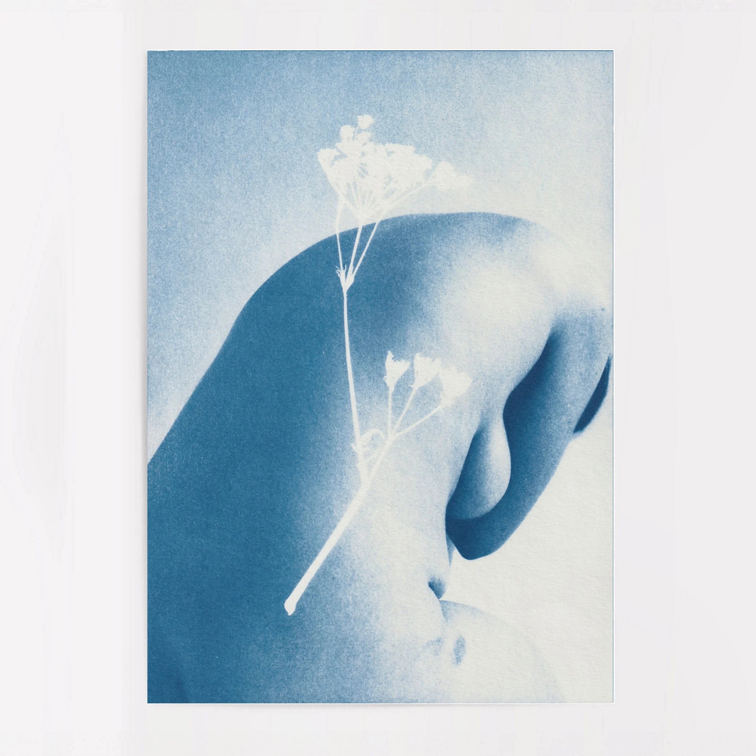 Lucy Ridges-shallows4.jpg