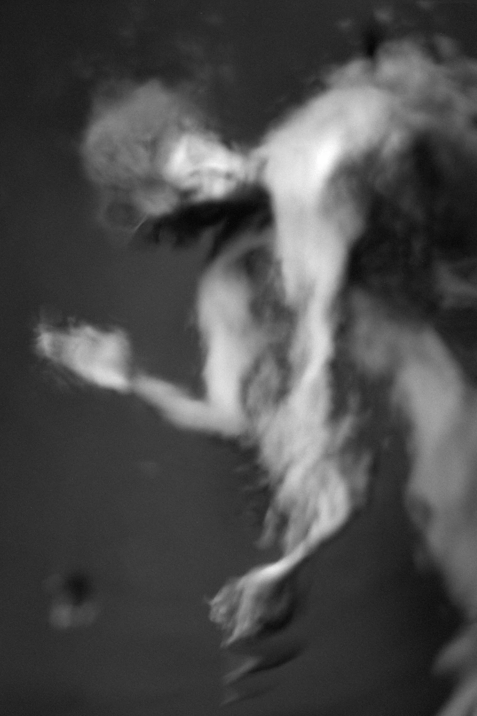 2021-01-21_0051_LAYERS.jpg