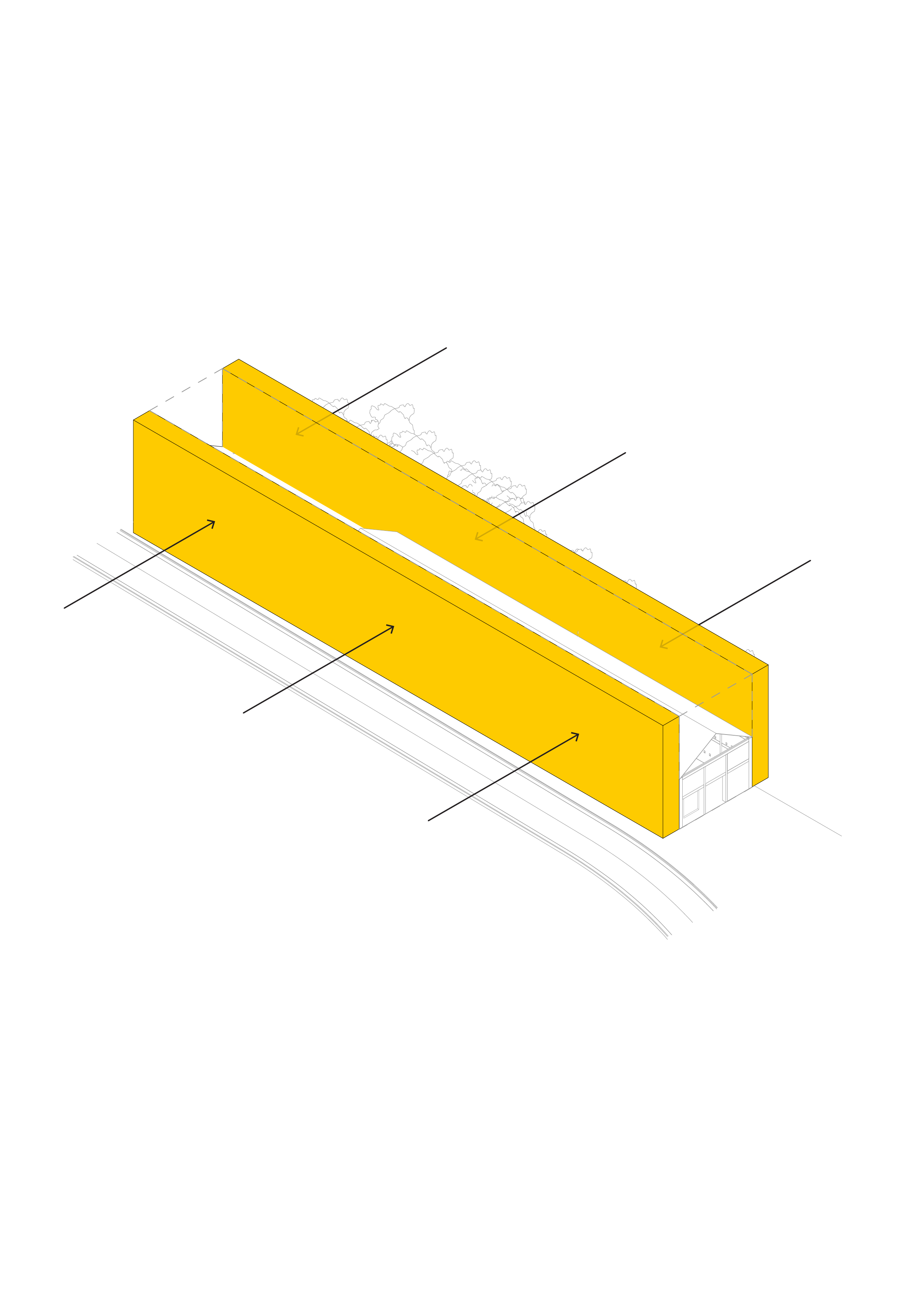 Site constrained by busy Harbour Road and protected milkwoods