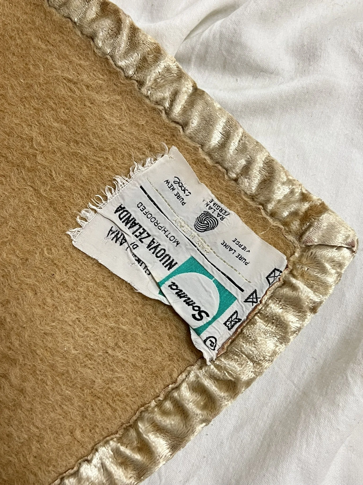 IMG_5913.JPEG (Copy)