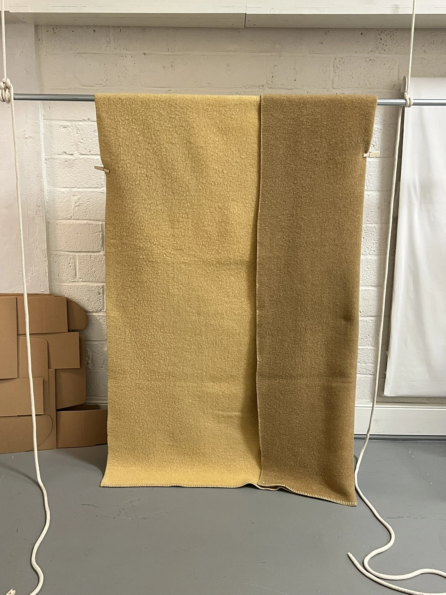 IMG_5973.JPEG (Copy)