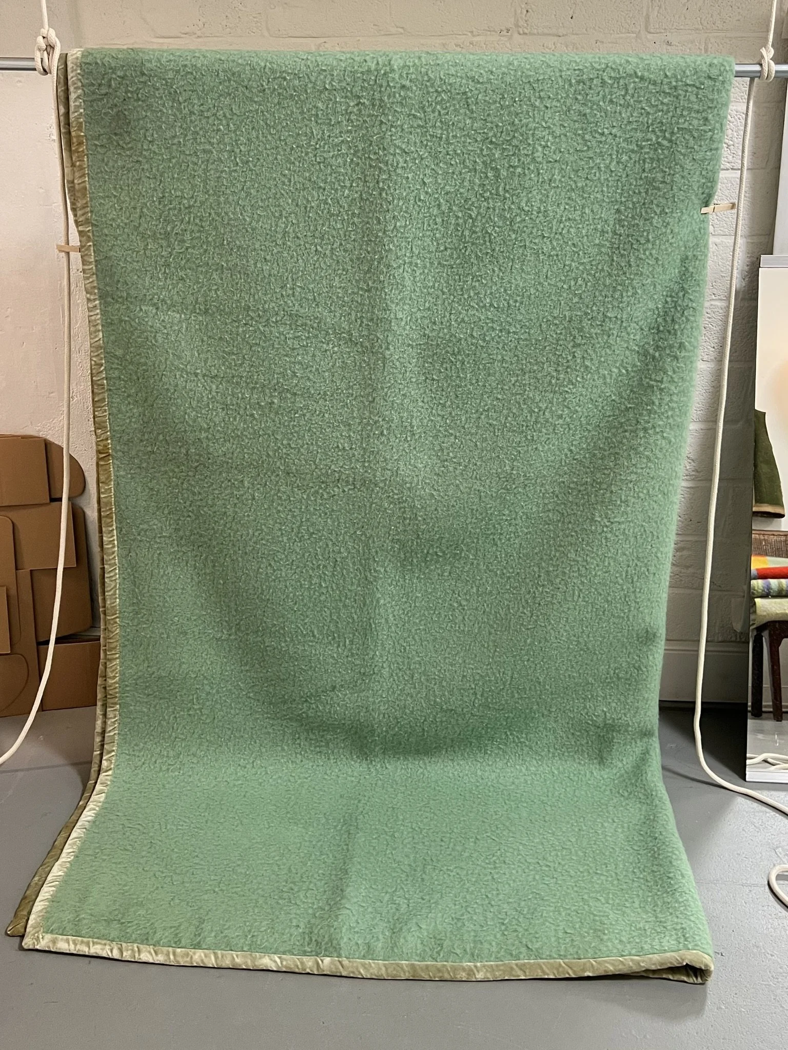 IMG_6450.JPEG (Copy)