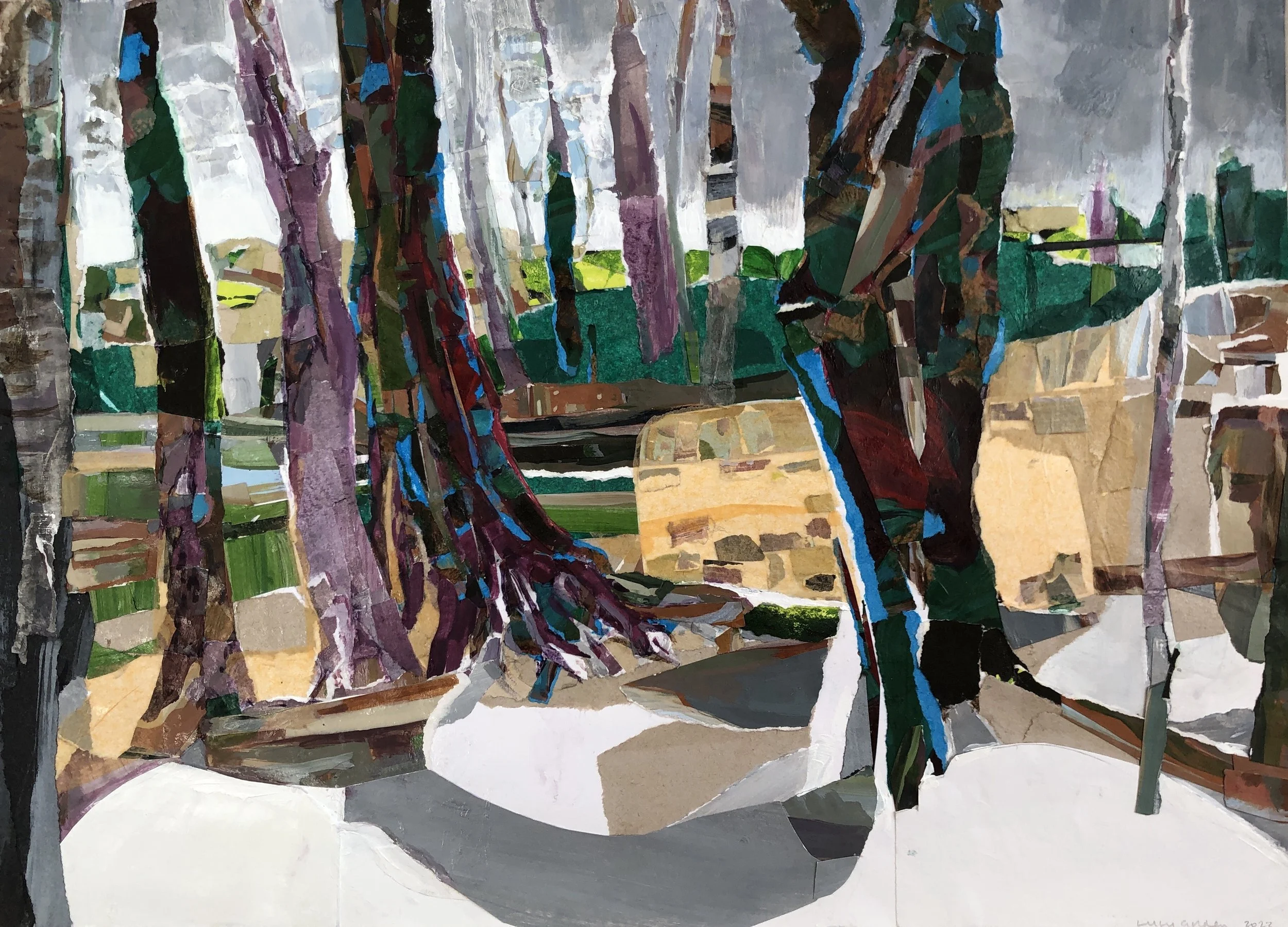 Trees at Whitehouse, Aberdeenshire.jpg