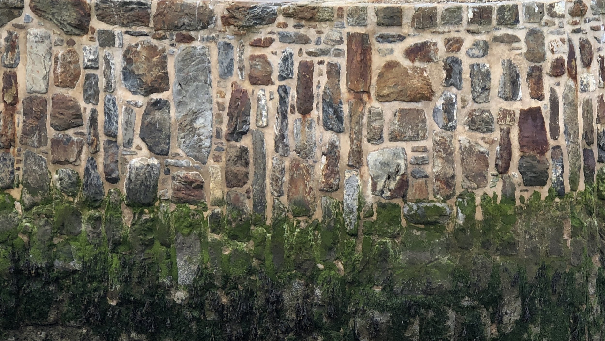 Banff harbour wall.jpg