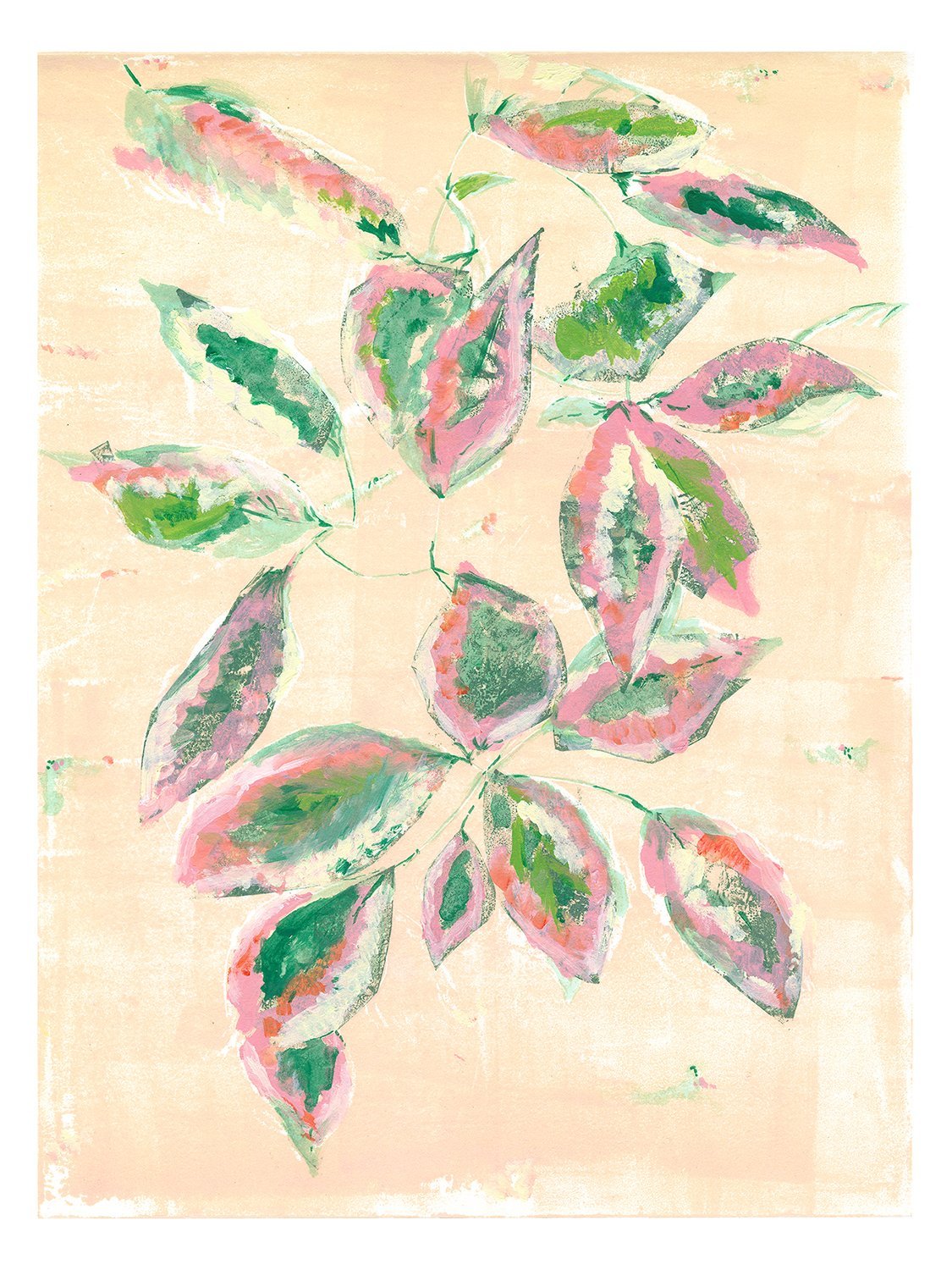   PINK FICUS  Monoprint   - BUY ME -   - CLICK TO VIEW FOLIAGE COLLECTION -    