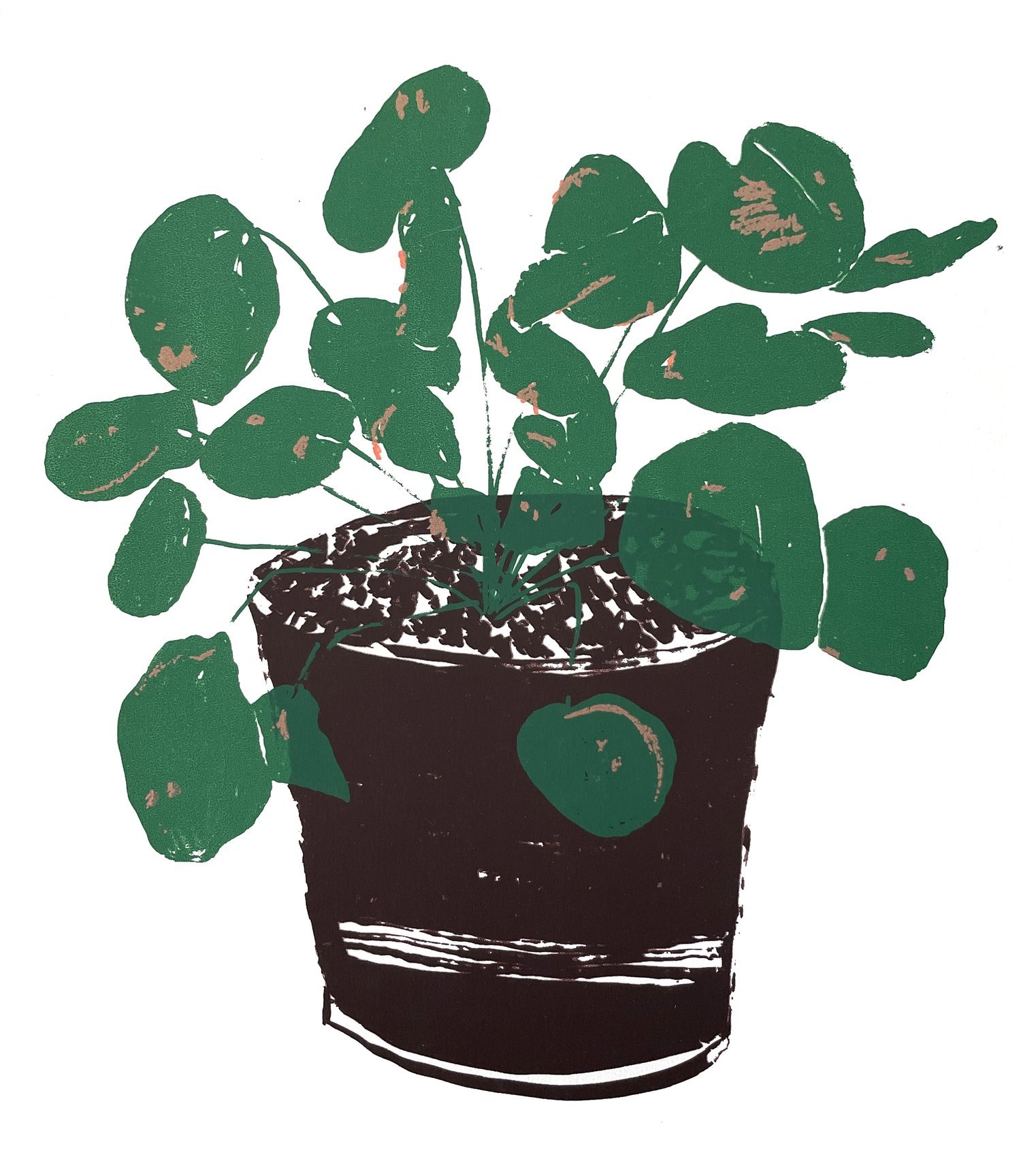   WELCOME HOME - PILEA  Silkscreen   - BUY ME -   - CLICK TO VIEW GINKGO COLLECTION -    