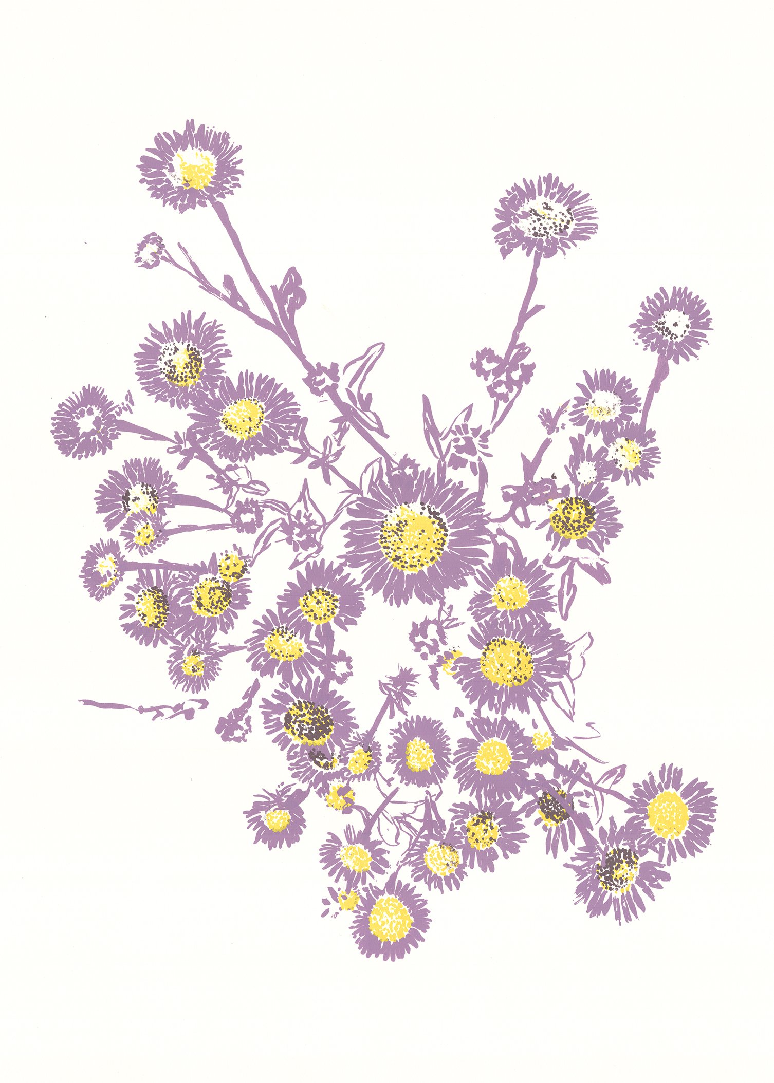 daisies_purple_web.jpg