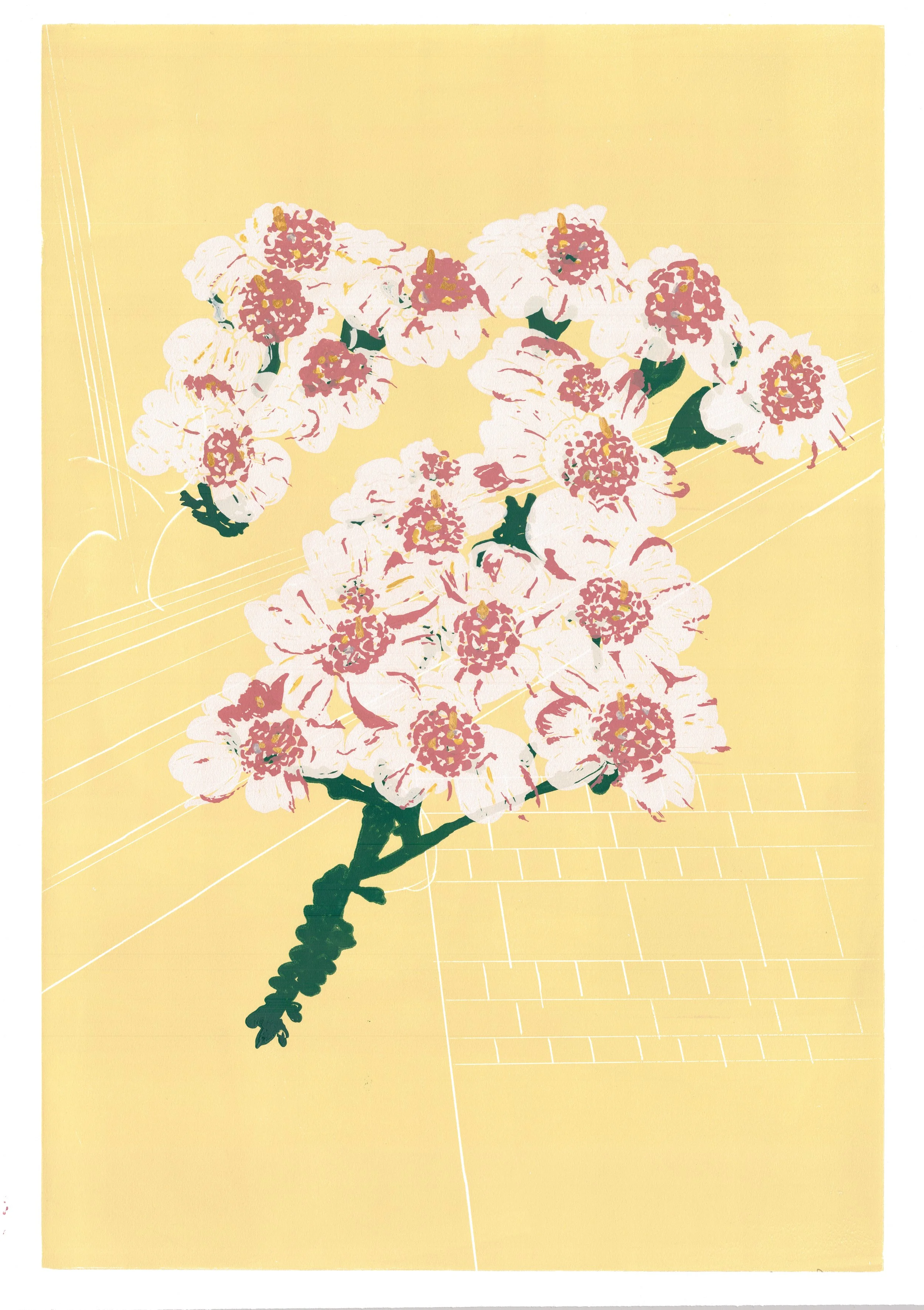 yarrow_yellow1.jpg