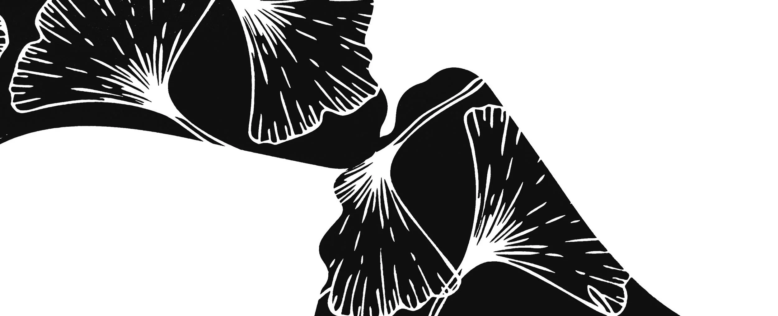 6 Print Ginkgo Collection