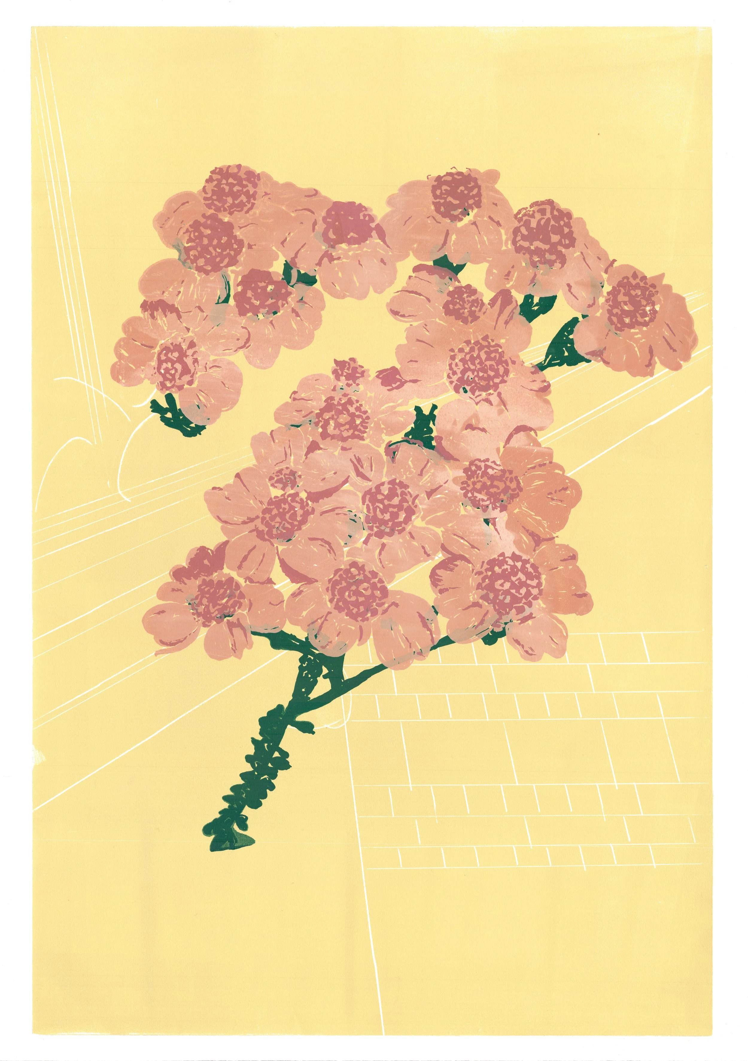 yarrow_yellow2jpg.jpg