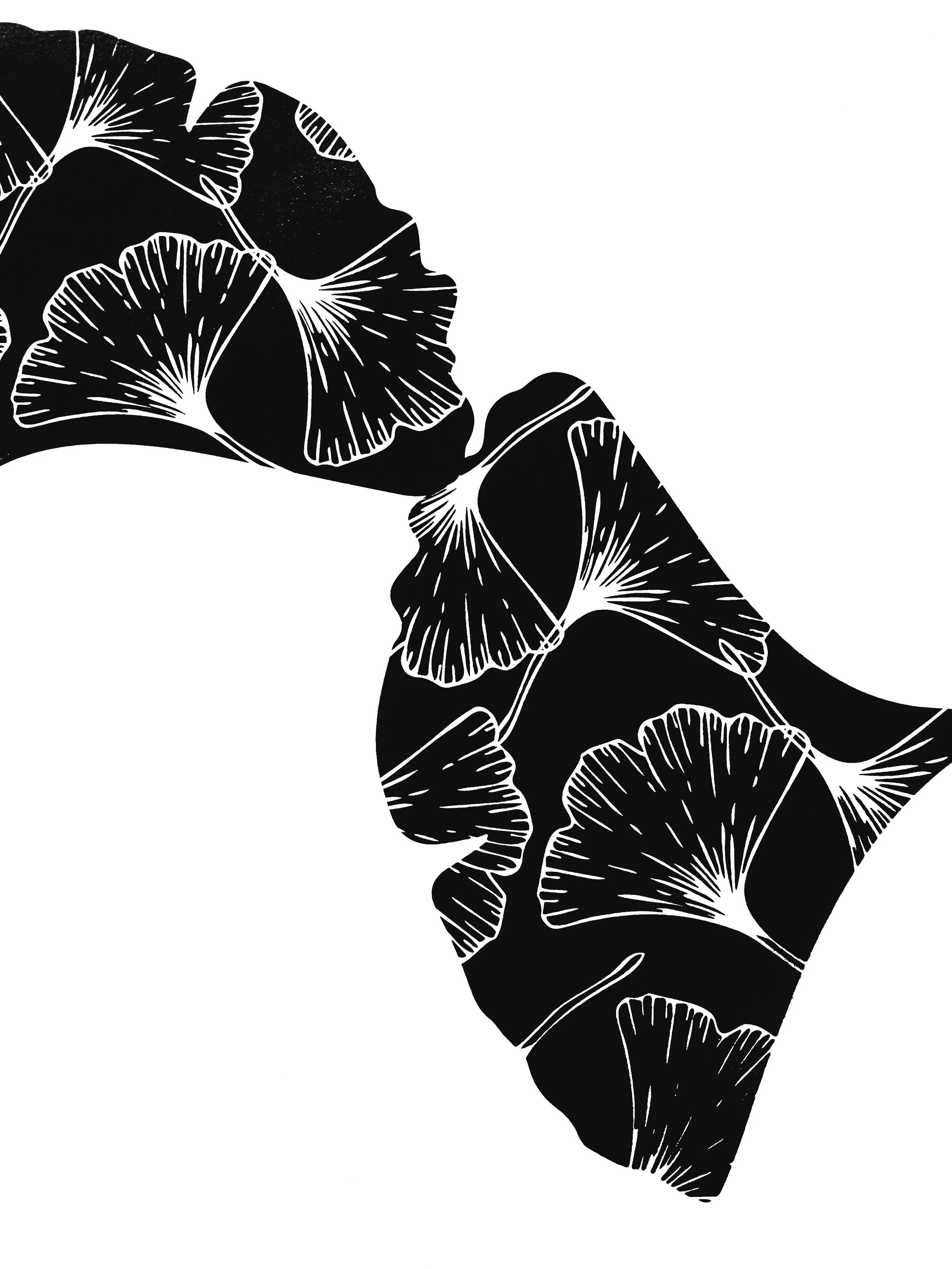 12 Print Ginkgo Collection