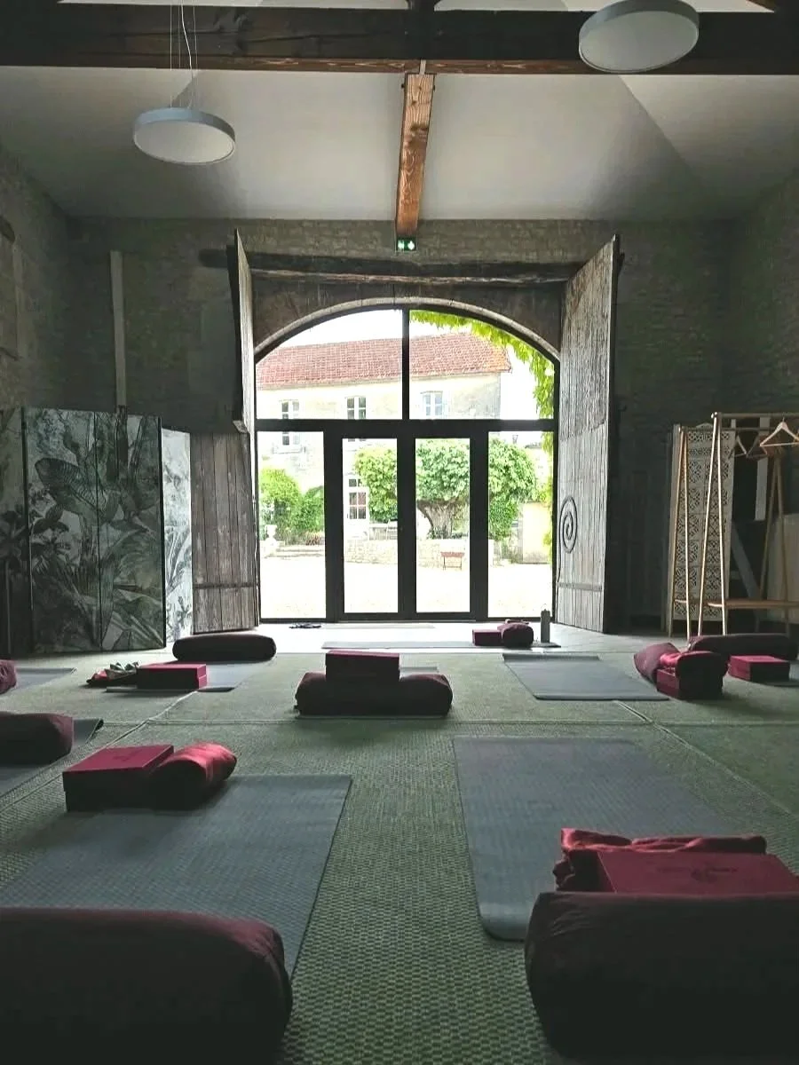 Logis%2Bdu%2BParadis%2BYoga%2BSpace.jpg