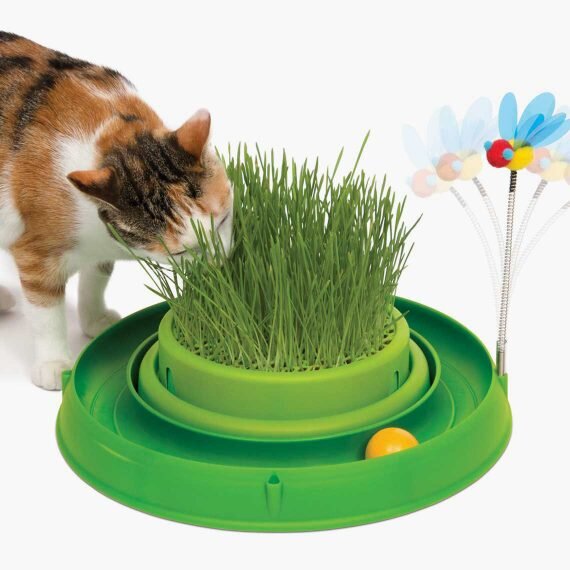 Cat Grass-43002-Circuit-Ball-Toy-with-Grass-Planter-570x570.jpeg