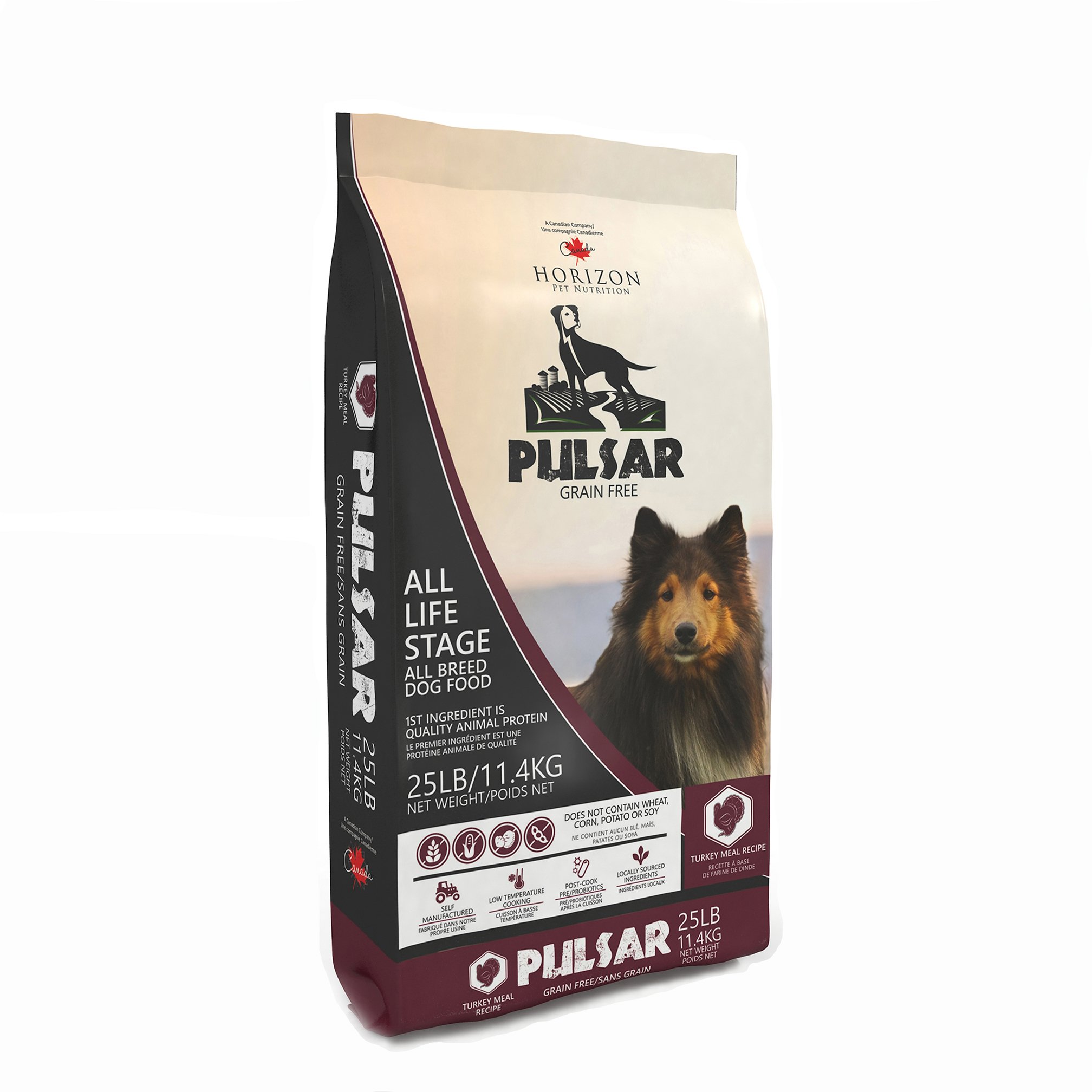New-Pulsar-Turkey-2.jpeg