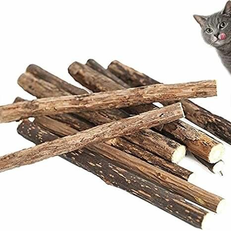 Catnip Sticks.jpg