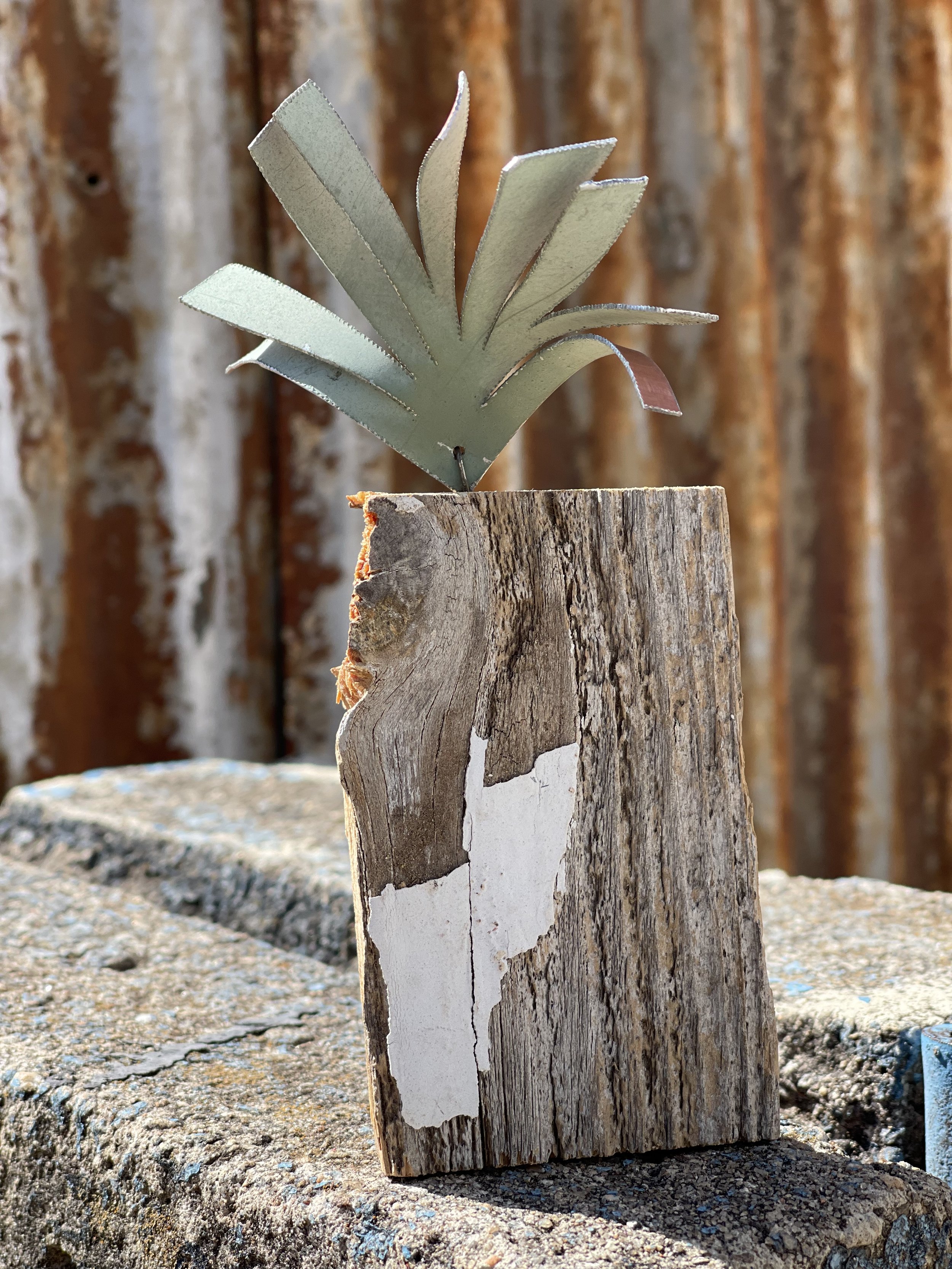 Tiny Plant // 2.5"w x 6.5"h // $20