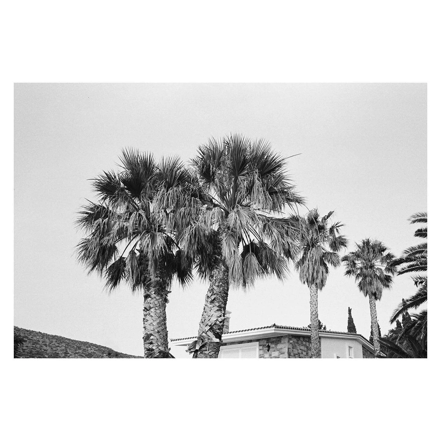 Thimari, Greece 🌴 #minox #kodak #kodak400tx #analog #filmonly #anavyssos #visitgreece