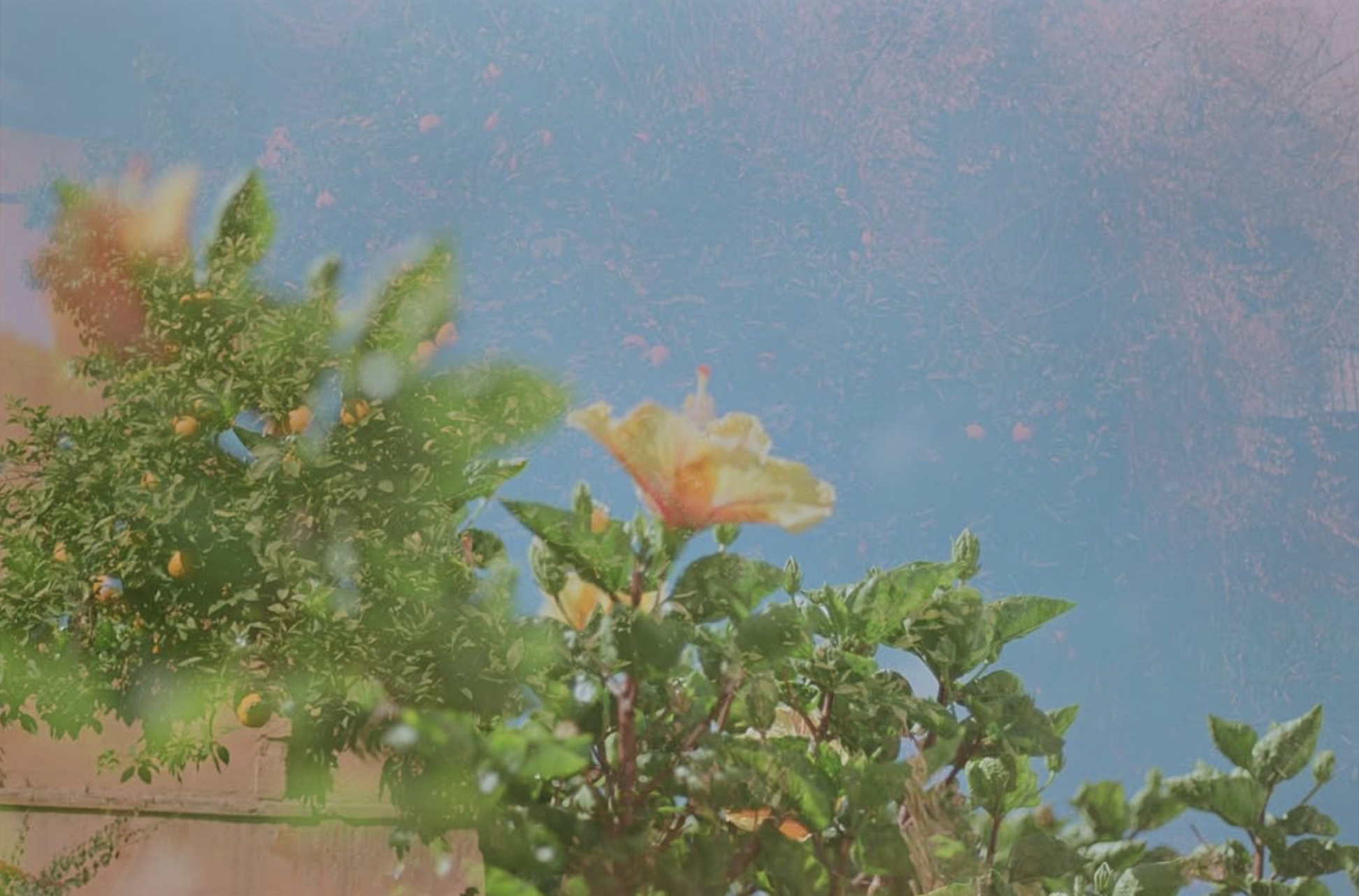 Screenshot 2025-01-18 at 15.09.00.png