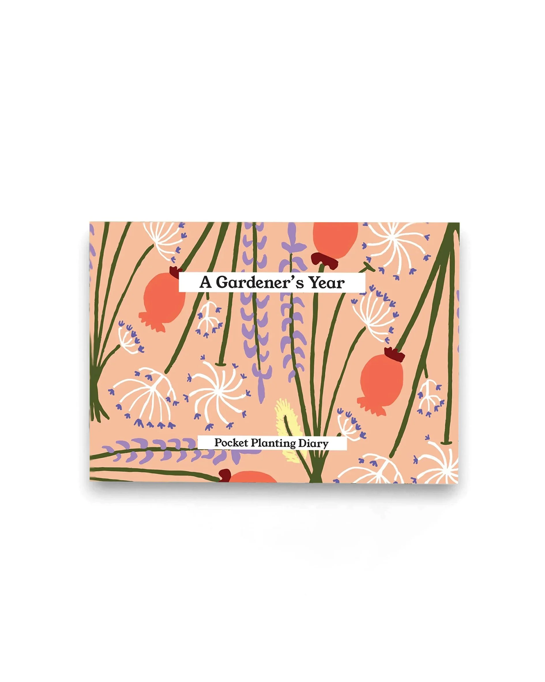 Gardener's Diary - Dried Peach