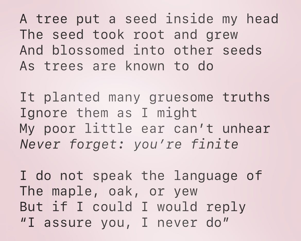 A tree put a seed inside my head

#poem #poetry #poetsofinstagram #mortality #tree #trees #wisdom