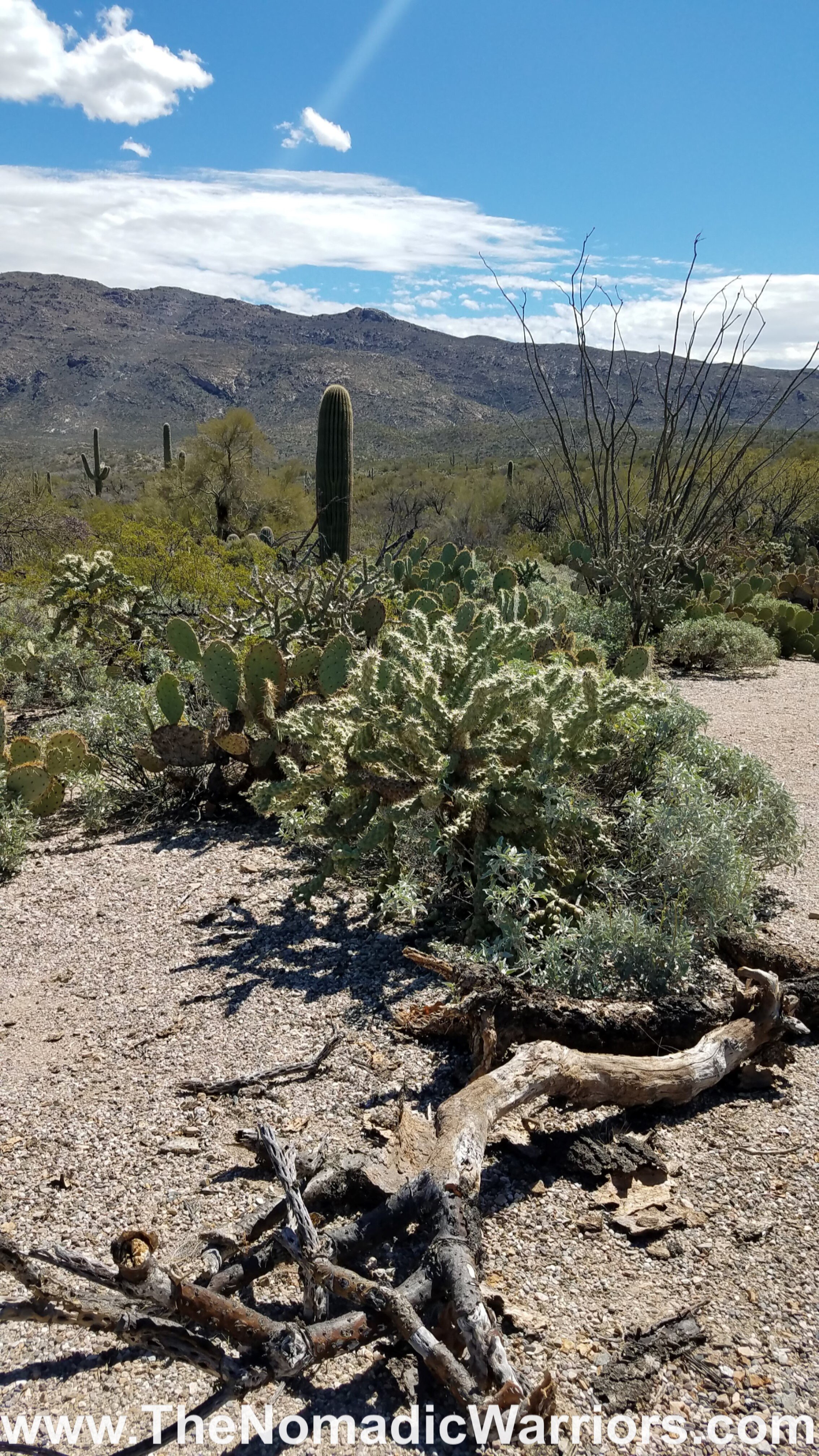 20190311_130956.jpg