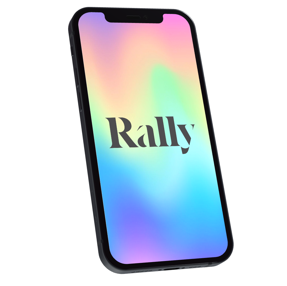 Press Materials — Rally