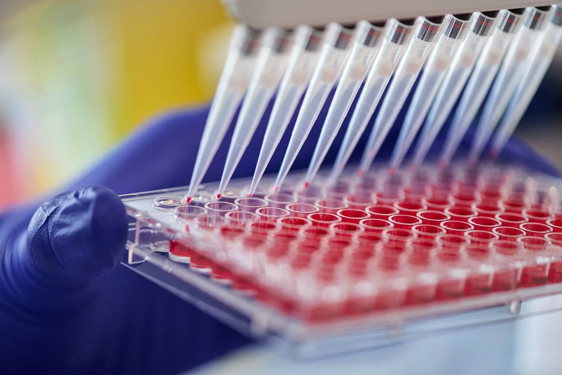 Cancer Research science photography