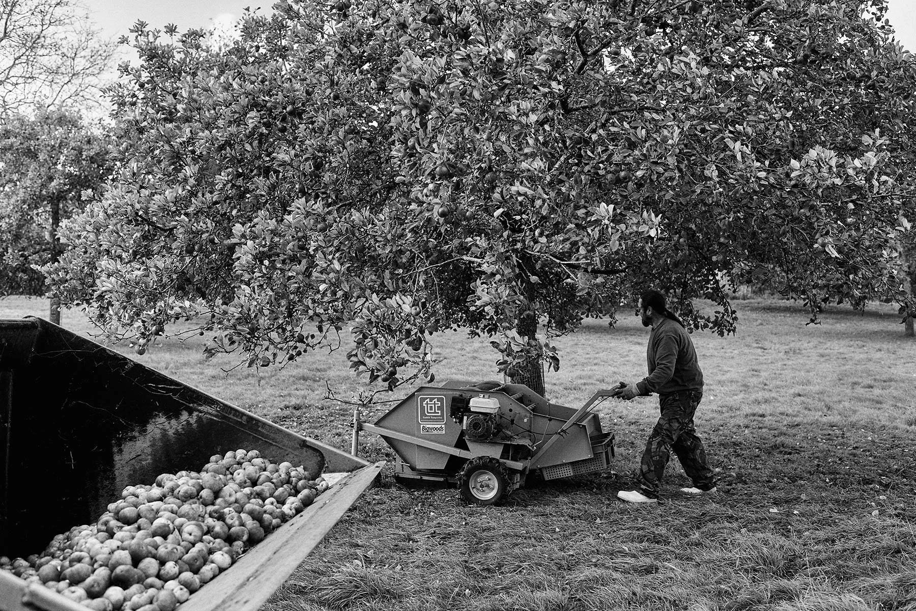 CranborneChaseCider_0012.jpg