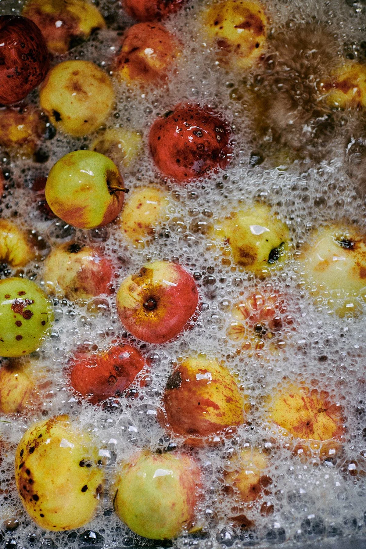 CranborneChaseCider_0027.jpg