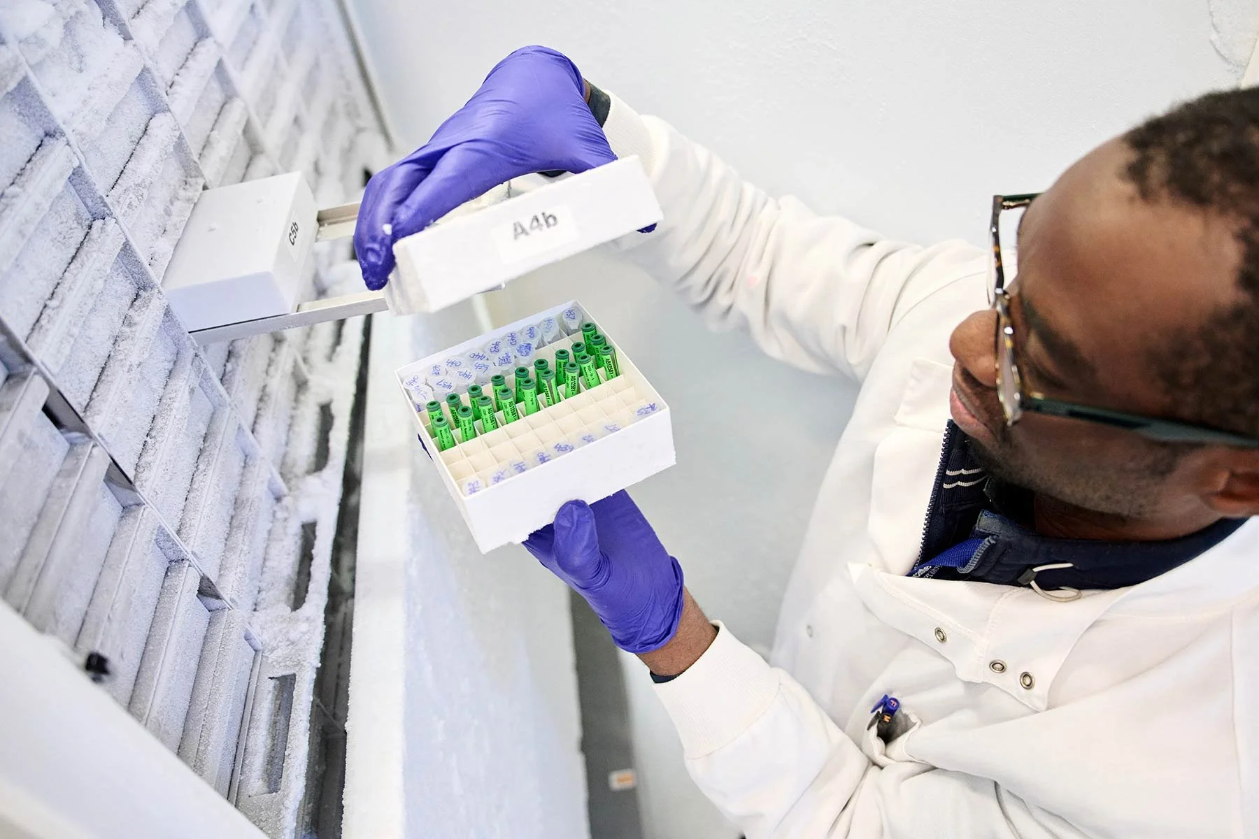 Cancer Research science photography