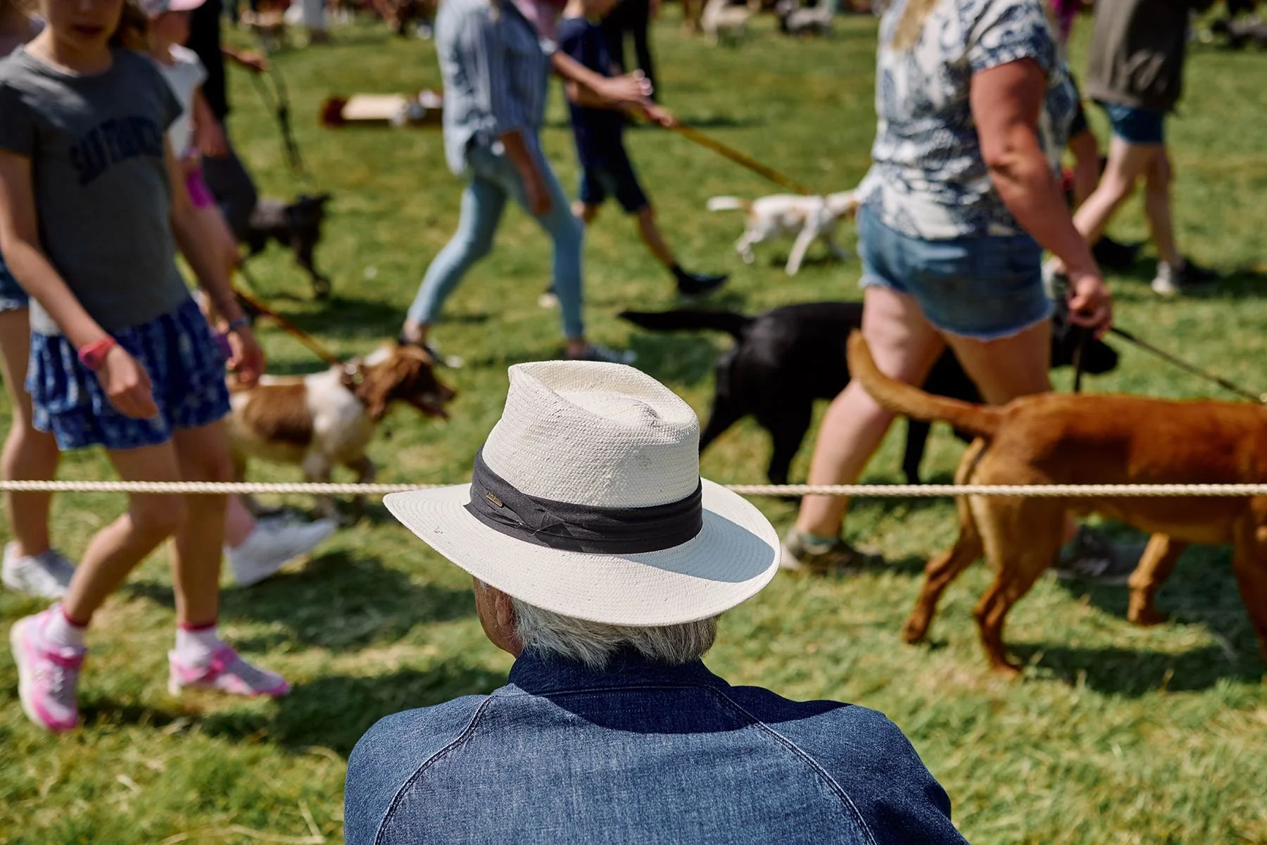 Fonthill Dog Show