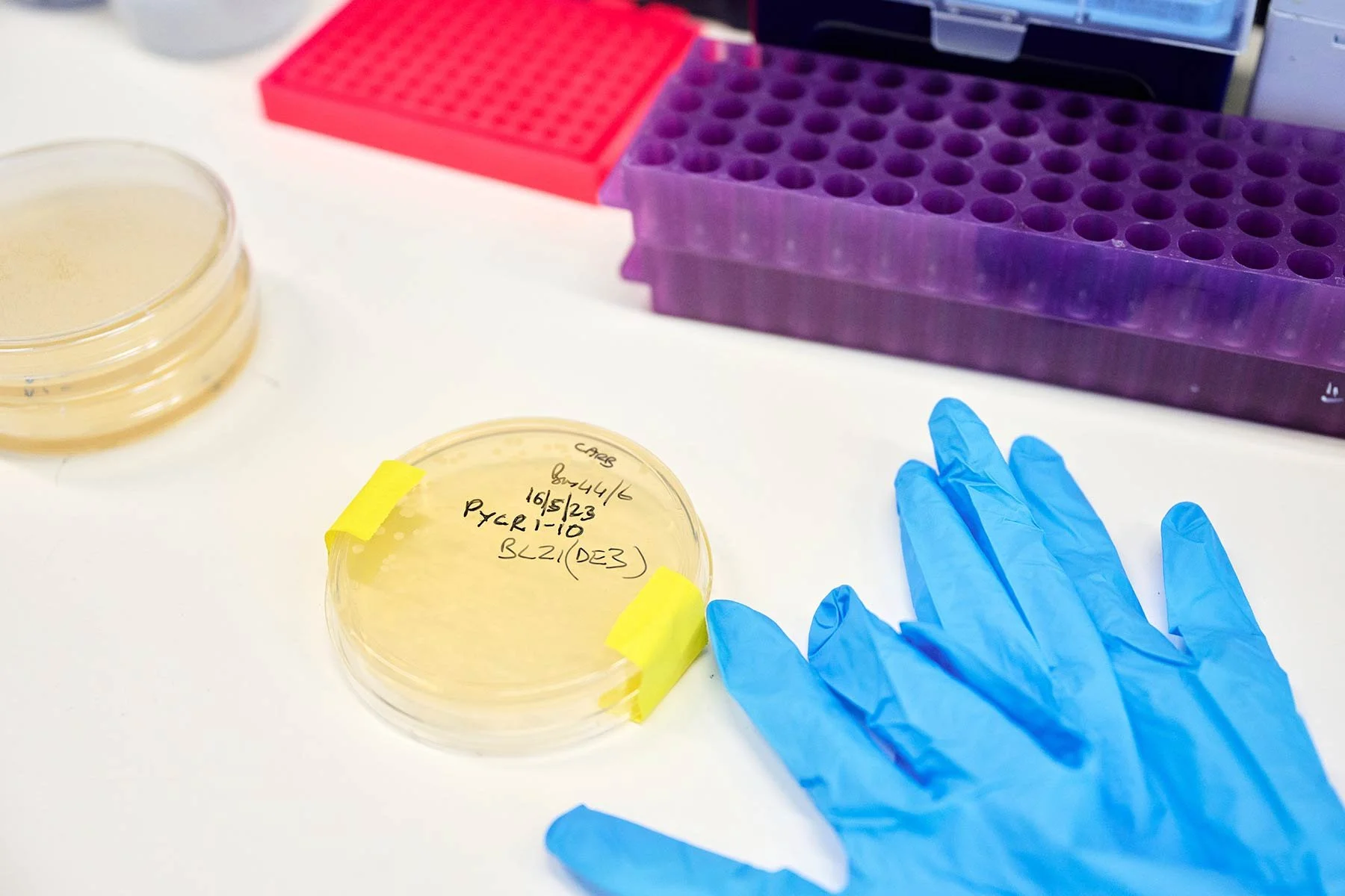 Cancer Research science photography