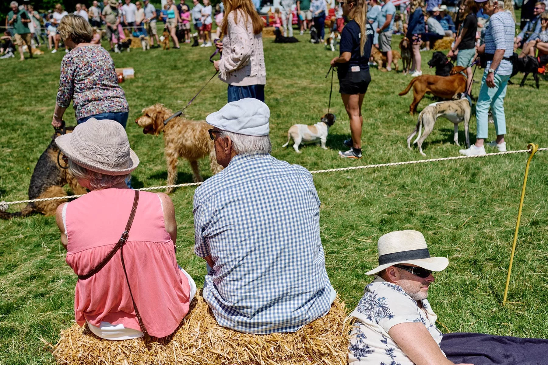 Fonthill Dog Show photography