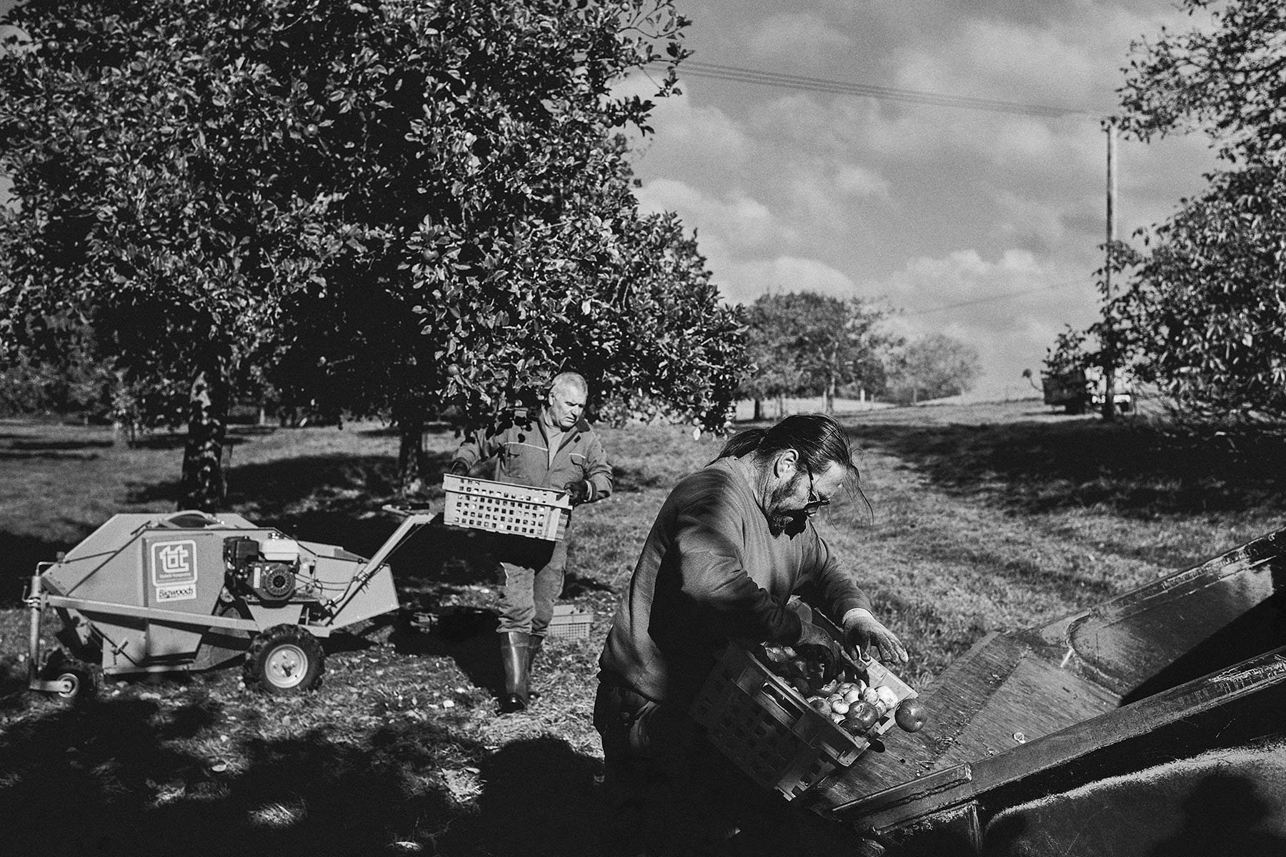 CranborneChaseCider_0005.jpg