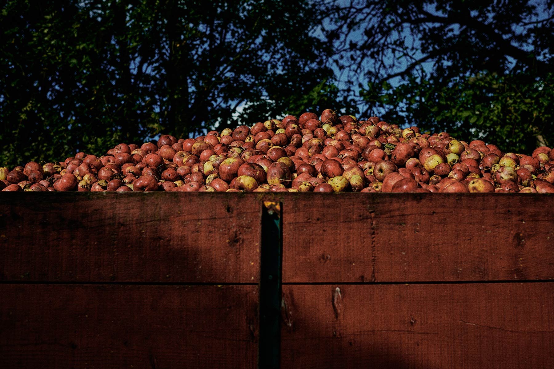 CranborneChaseCider_0013.jpg