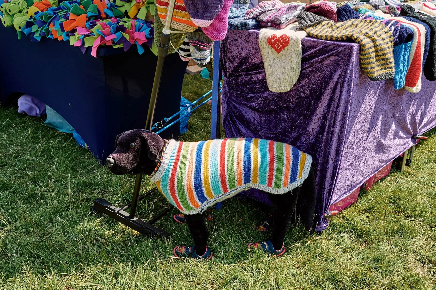 Fonthill Dog Show photography