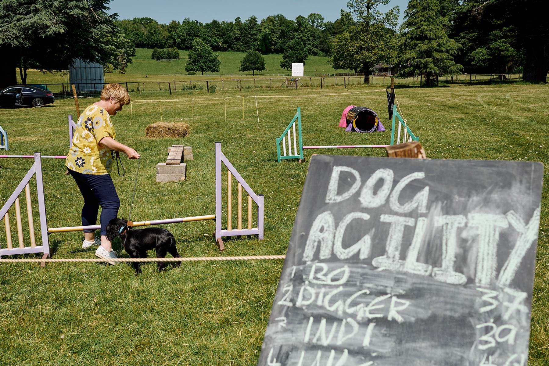 Fonthill Dog Show photography