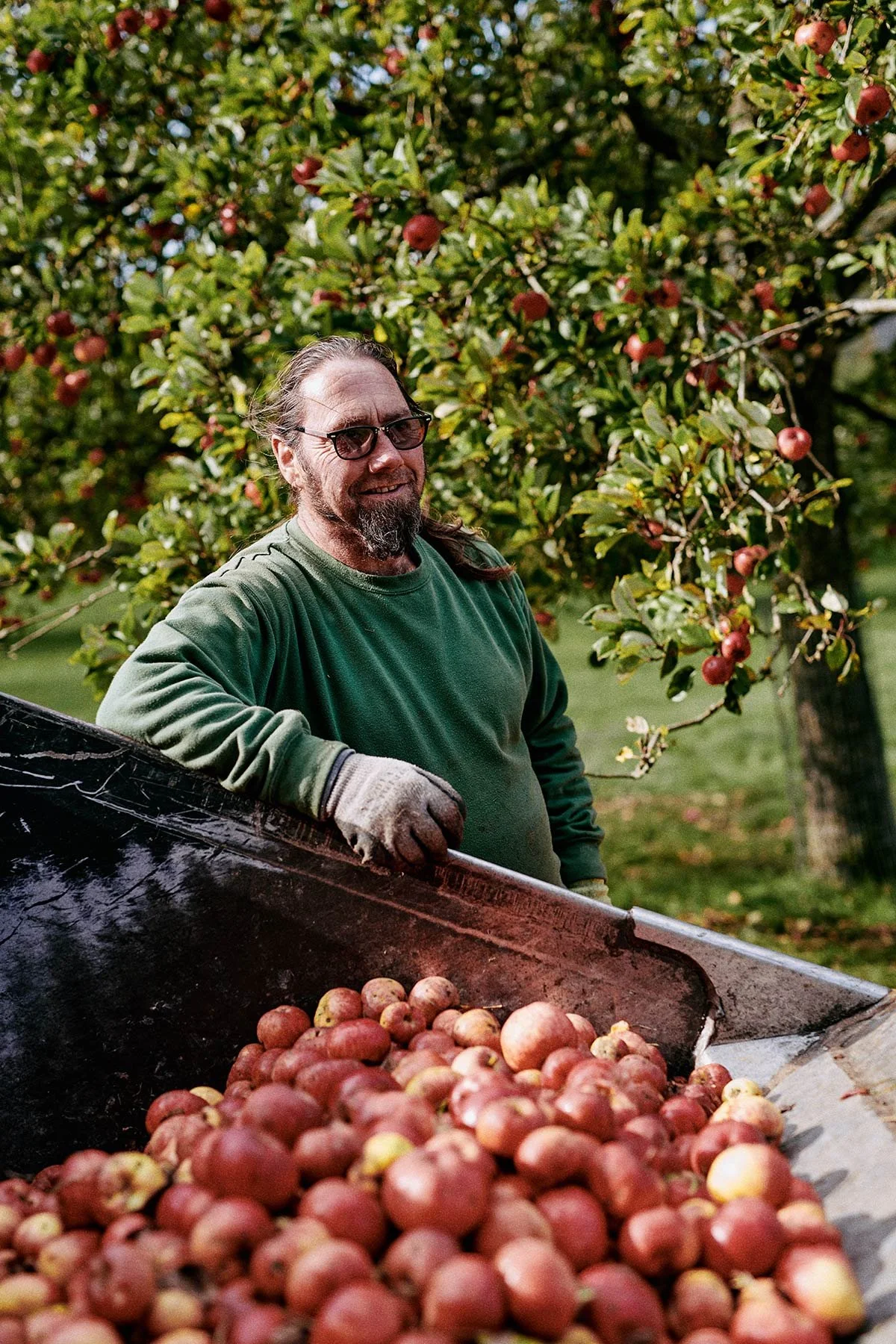 CranborneChaseCider_0015.jpg