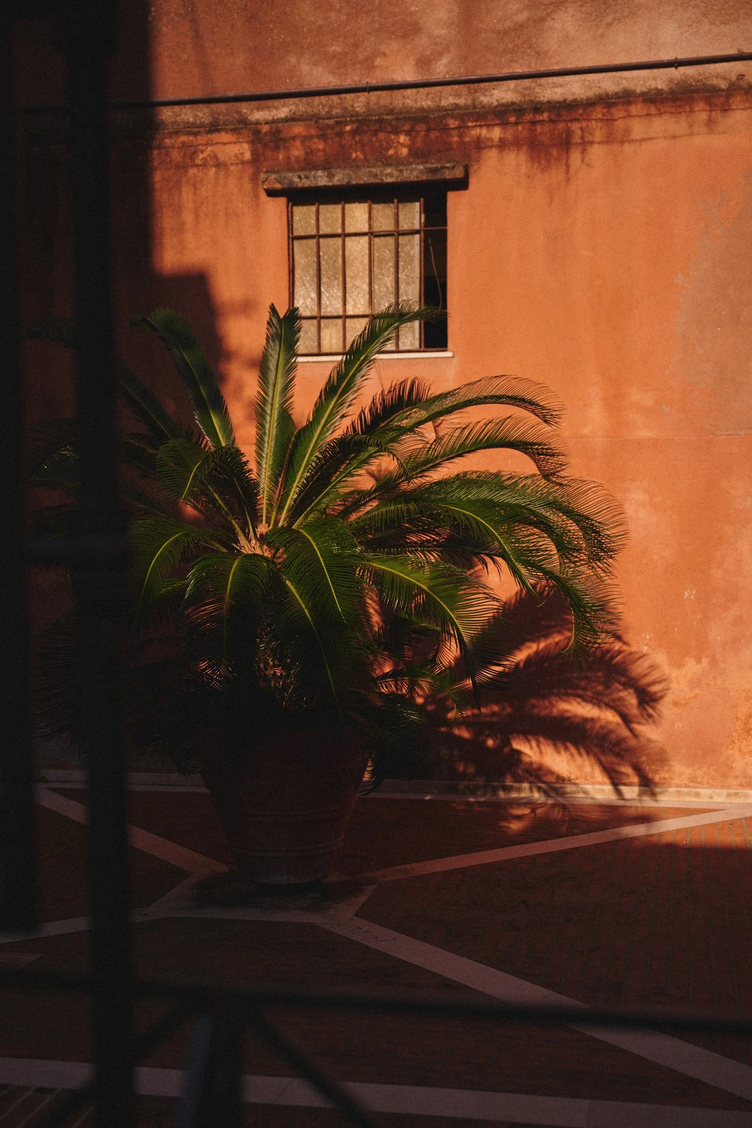 Venice_0007.jpg