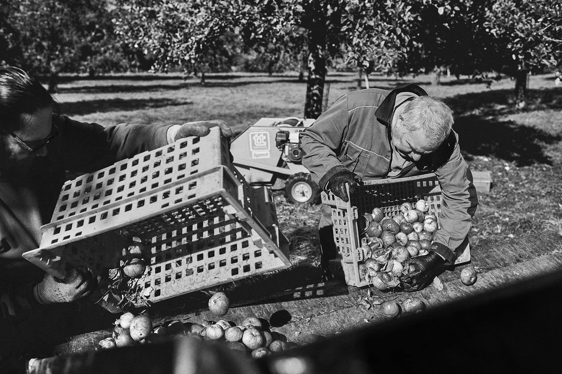 CranborneChaseCider_0010.jpg