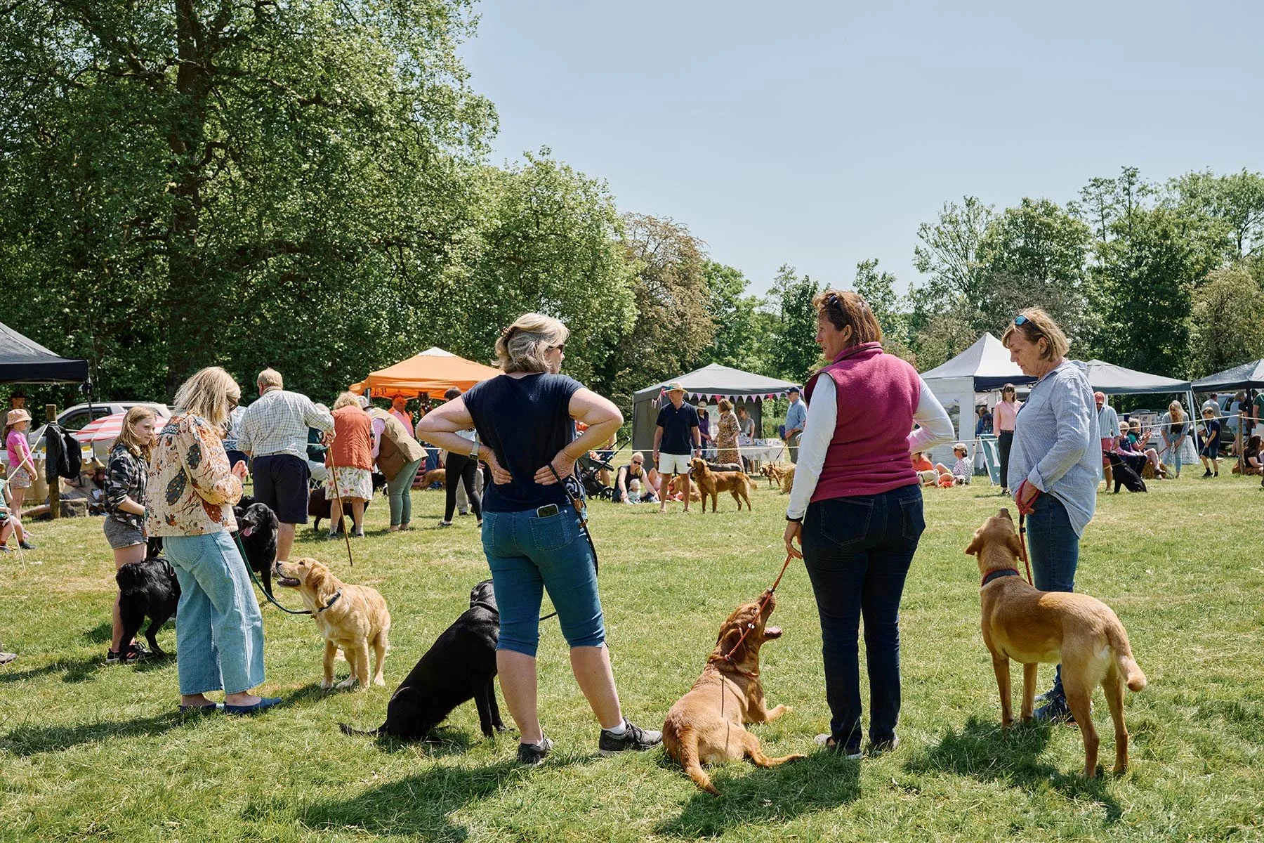 Fonthill Dog Show photography