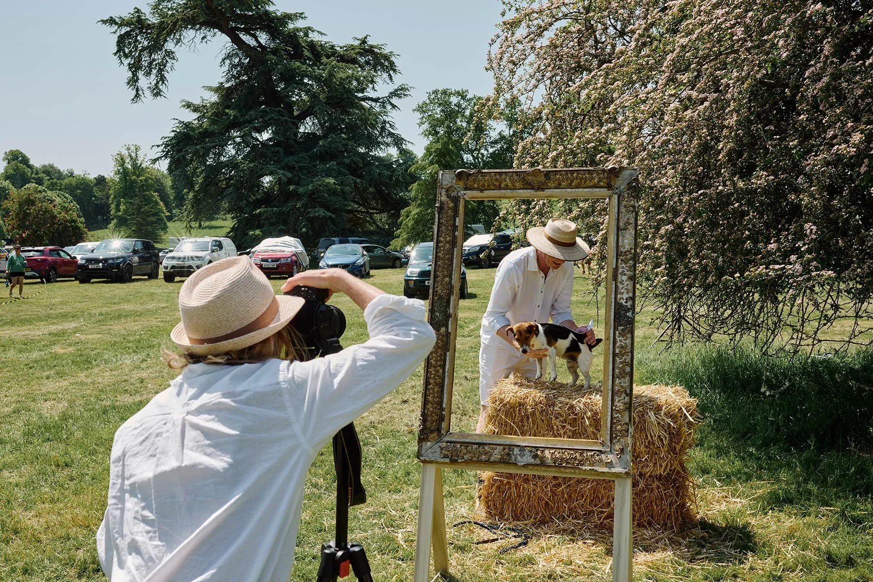 Fonthill Dog Show photography