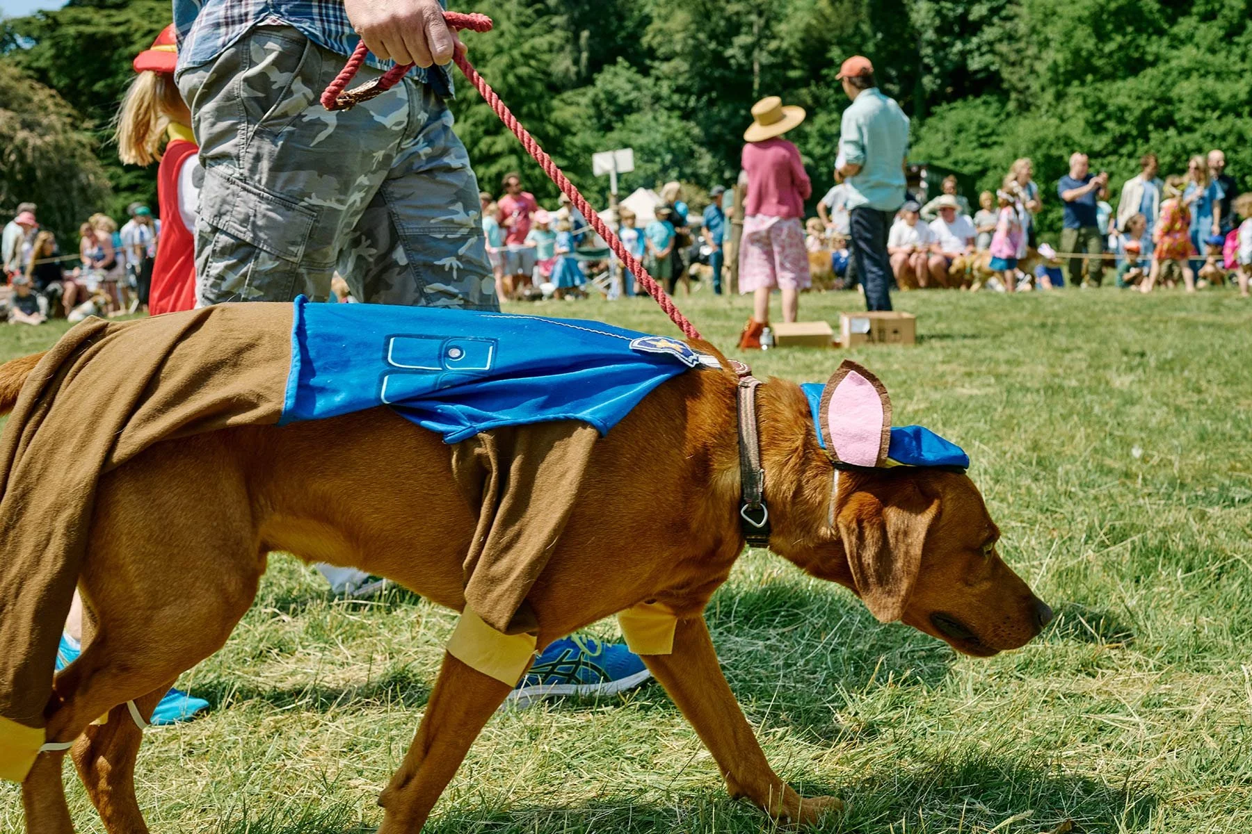 Fonthill Dog Show photography