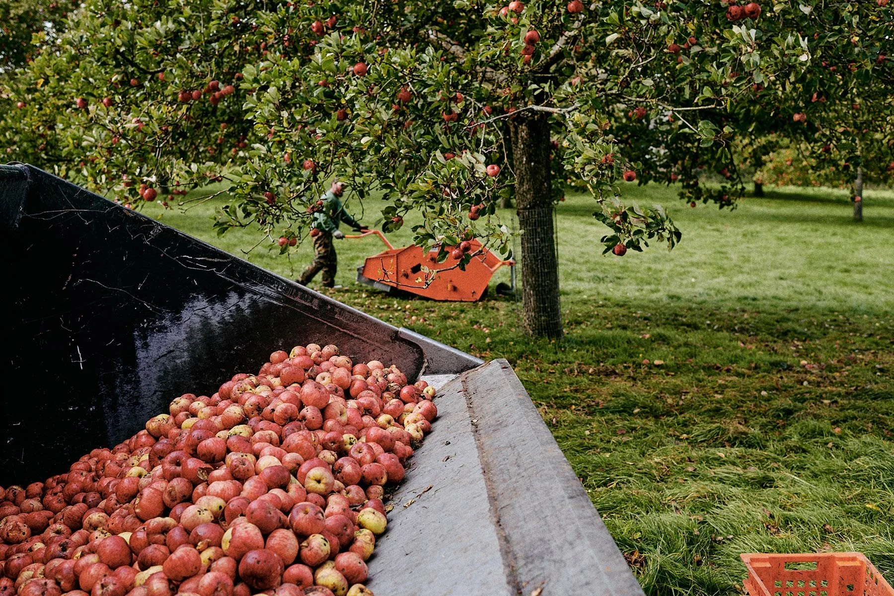 CranborneChaseCider_0006.jpg