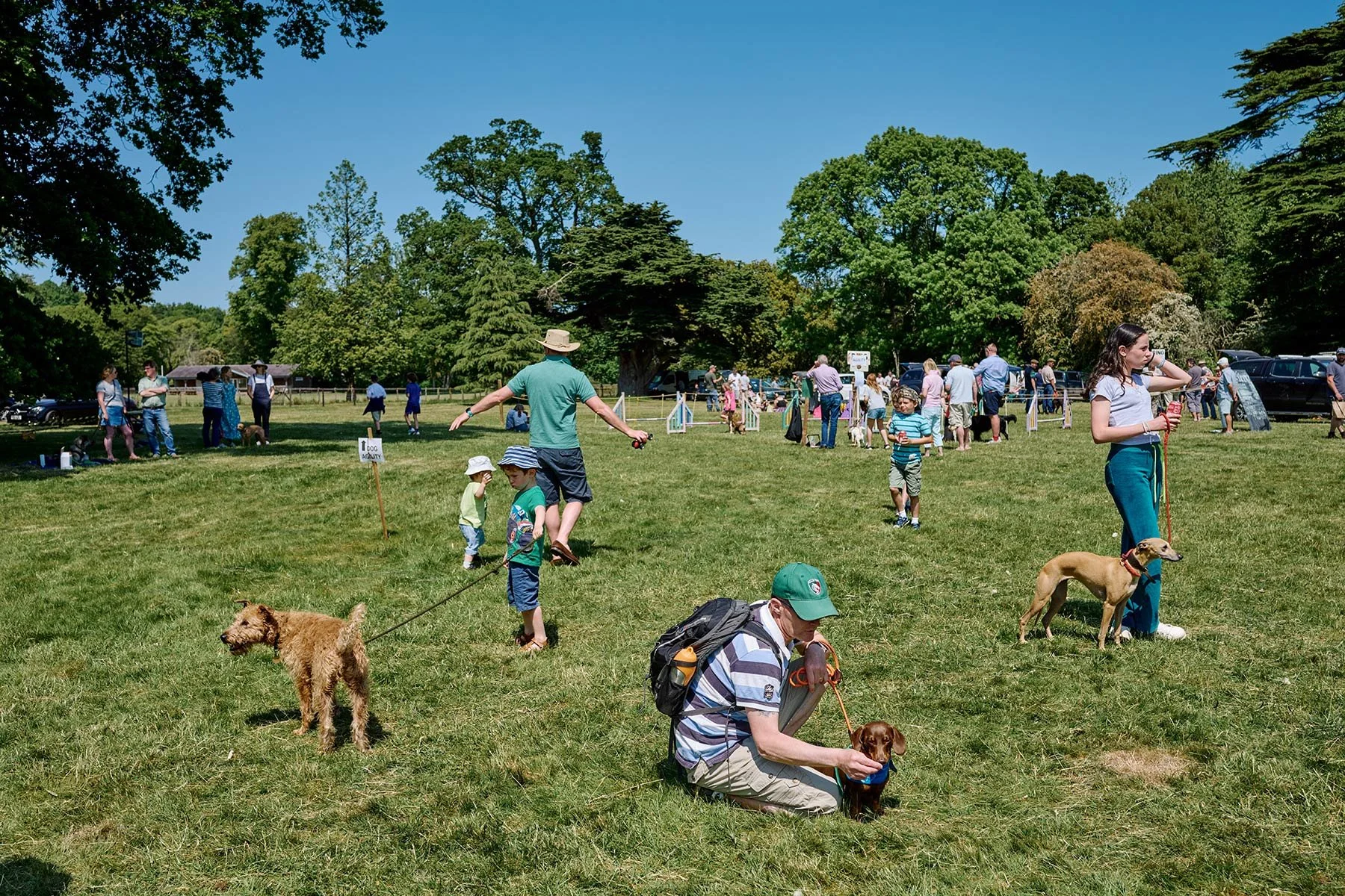 Fonthill Dog Show photography