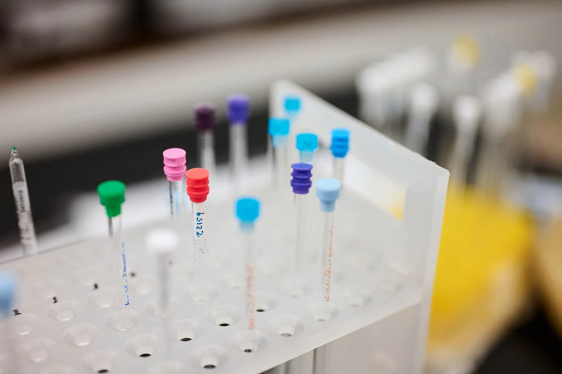 Cancer Research science photography