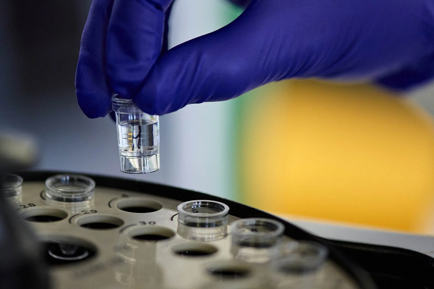 Cancer Research science photography
