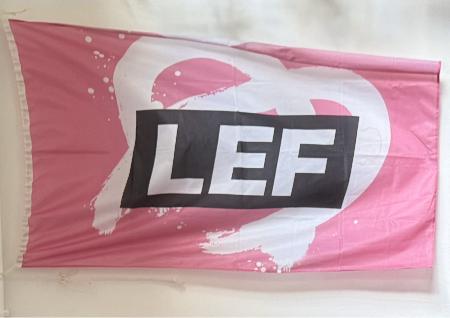 LEF Vlag.png